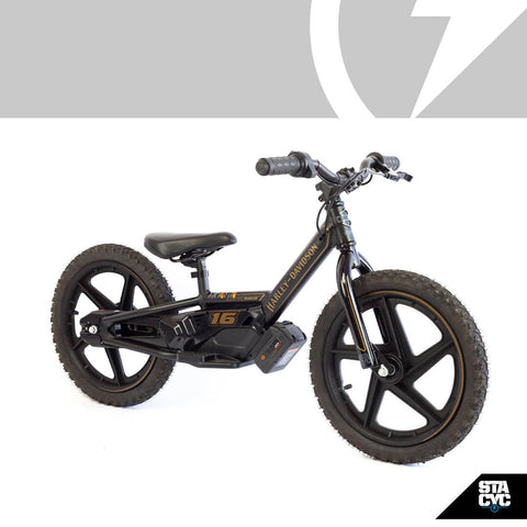 Harley Davidson STACYC 16eDRIVE BRUSHLESS - Stoke Run LLC